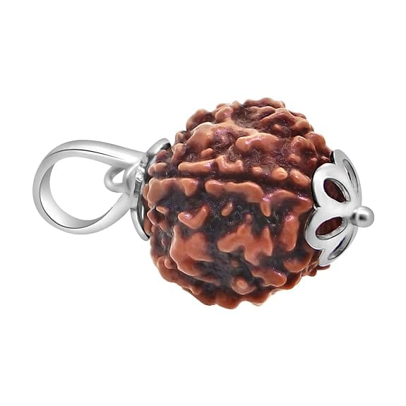 5 Mukhi Rudraksha Pendant Lab Certified Nepali Five Mukhi Original Certified 5 Mukhi Rudraksha Pendant with Red Thread for Men and Women, Origin Nepal, Color Brown - Image 3