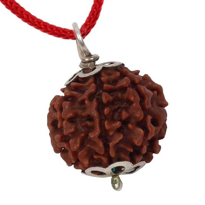 6 Mukhi Napali Rudraksha Pandant For Man And Woman - Image 2