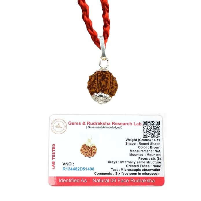 6 Mukhi Napali Rudraksha Pandant For Man And Woman - Image 3