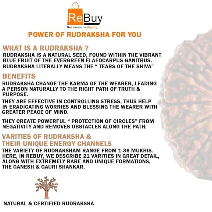8 Mukhi Napali Rudraksha Pandant For Man And Woman - Image 5