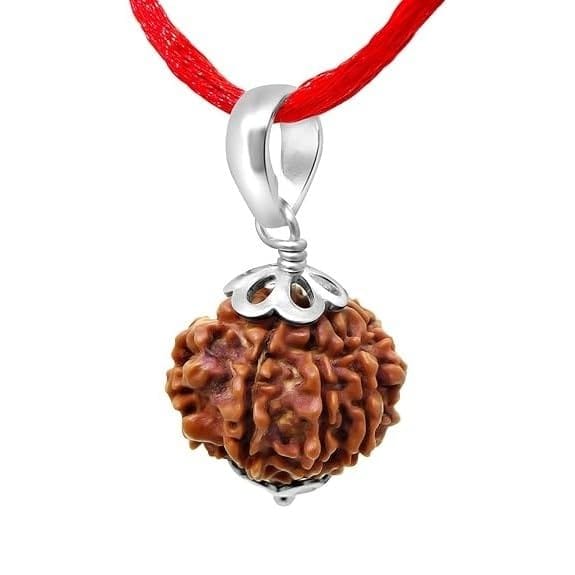 9 Mukhi Napali Rudraksha Pandant For Man And Woman - Image 4