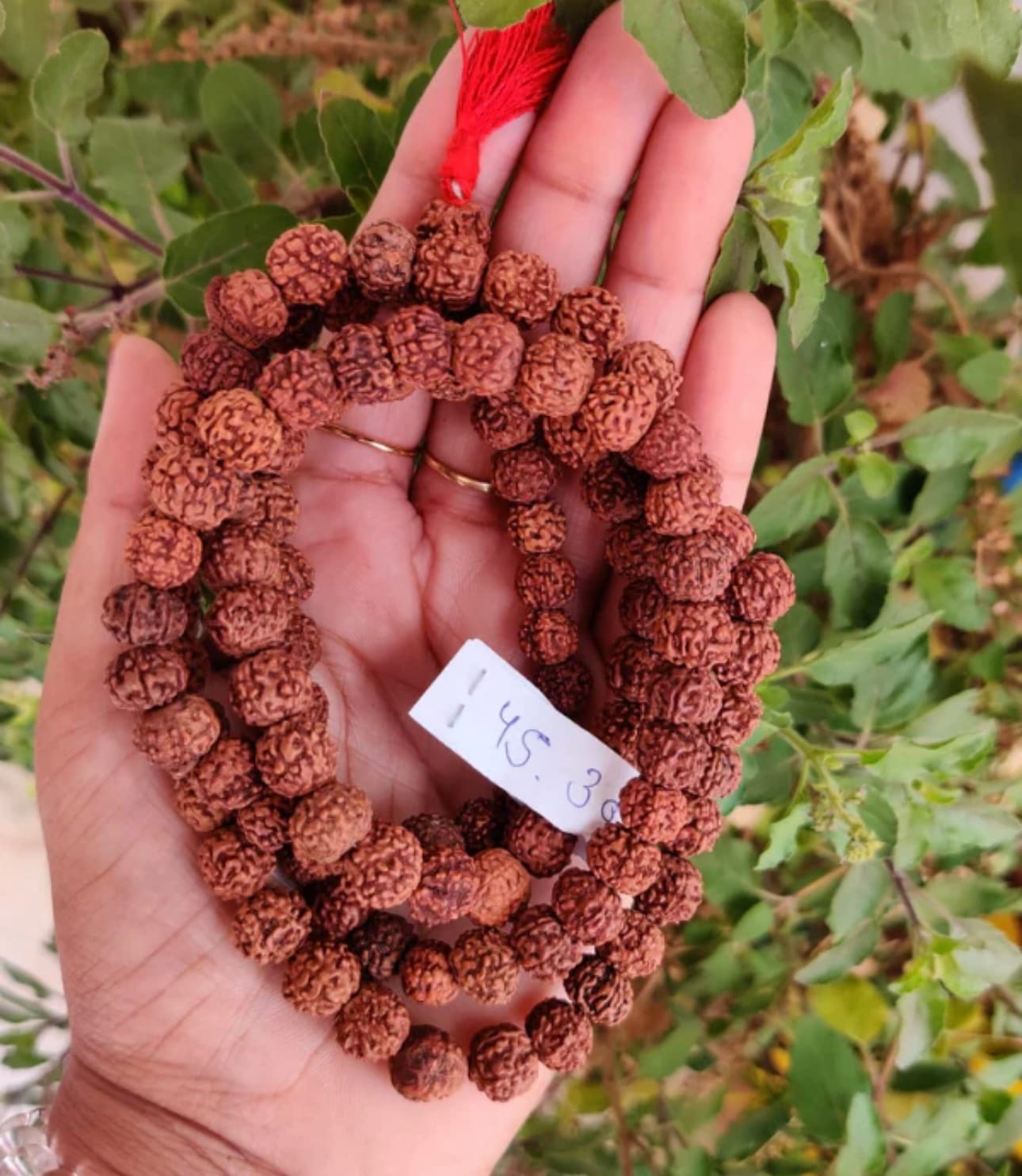 Rudhraksha Mala 109 Beads LAB Certified - Image 5