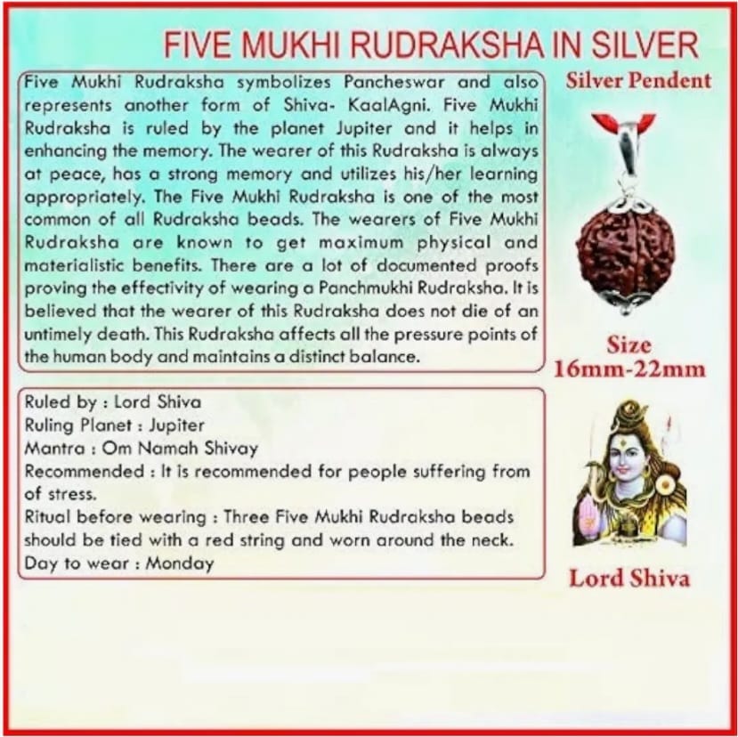Nepali 5 Mukhi Rudraksha 5 Mukhi Faced  Gold Plated Pendant - Image 3