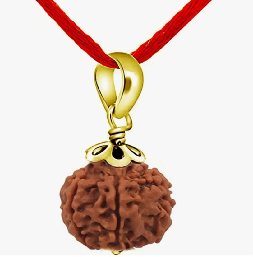 Nepali 5 Mukhi Rudraksha 5 Mukhi Faced  Gold Plated Pendant